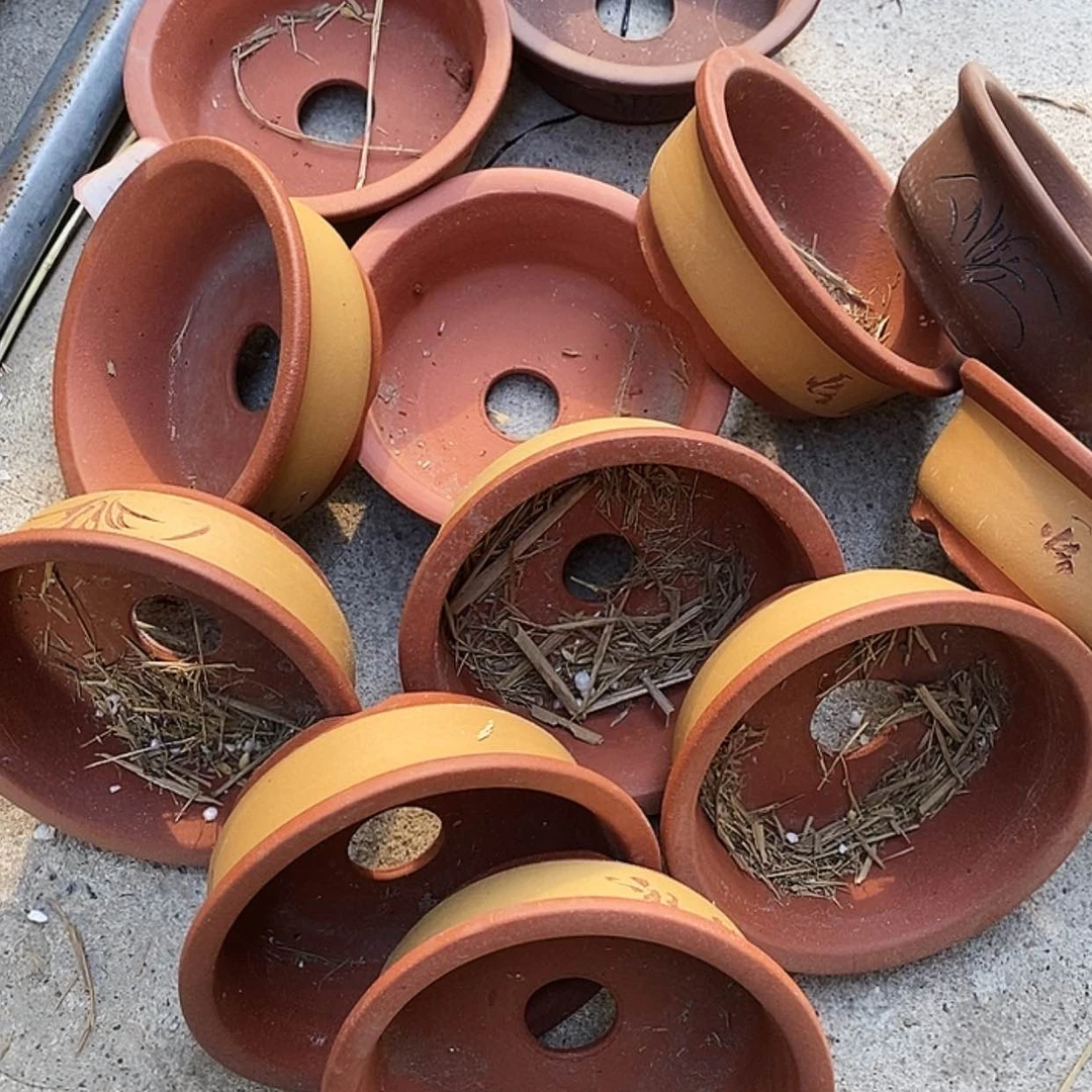 【闪购商品】紫砂花盆100-12