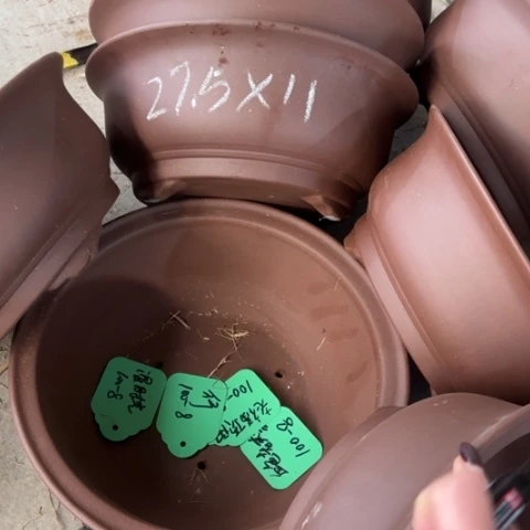 紫砂花盆       100-8