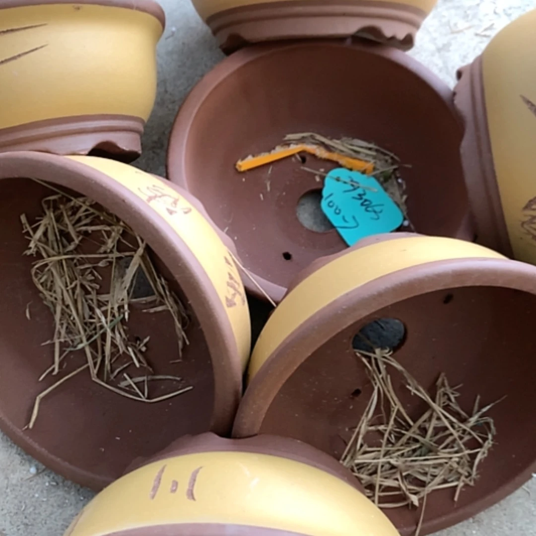 【闪购商品】紫砂花盆100-7