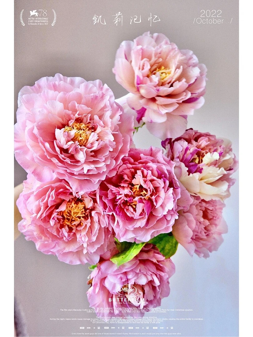 【凯莉的回忆】 高端伊藤系列芍药 庭院阳台花卉 耐寒耐旱