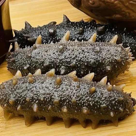 【瑞泽鲜食海参】高品质1斤装冷链发货顺丰包邮