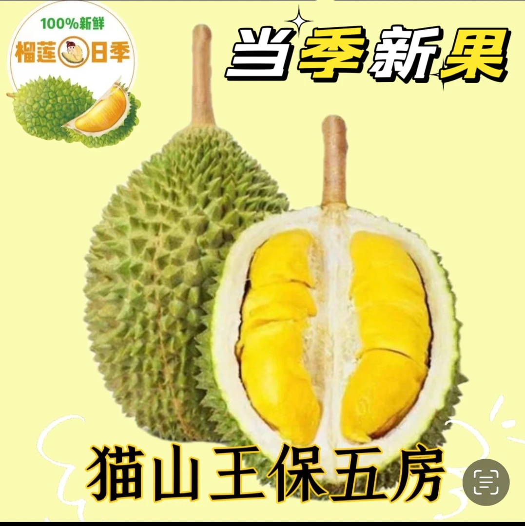 【一物一拍】当季新果保五房马来西亚猫山王榴莲D197