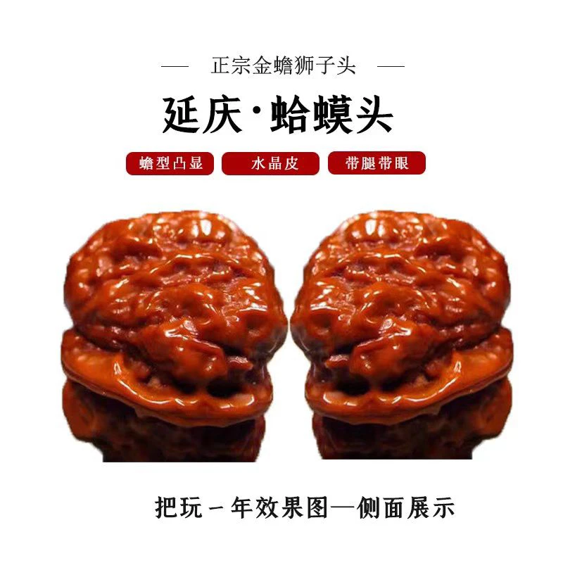 精品48尺延庆蛤蟆头文玩核桃肌肉蛙开背瞪眼把玩展示