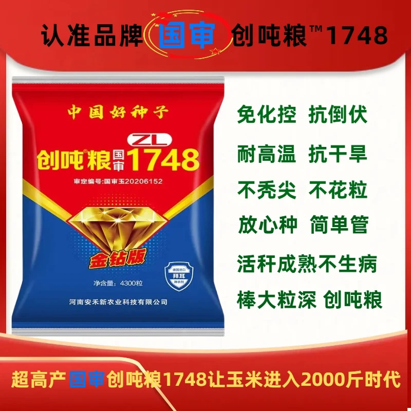 超高产玉米种子创吨粮1748