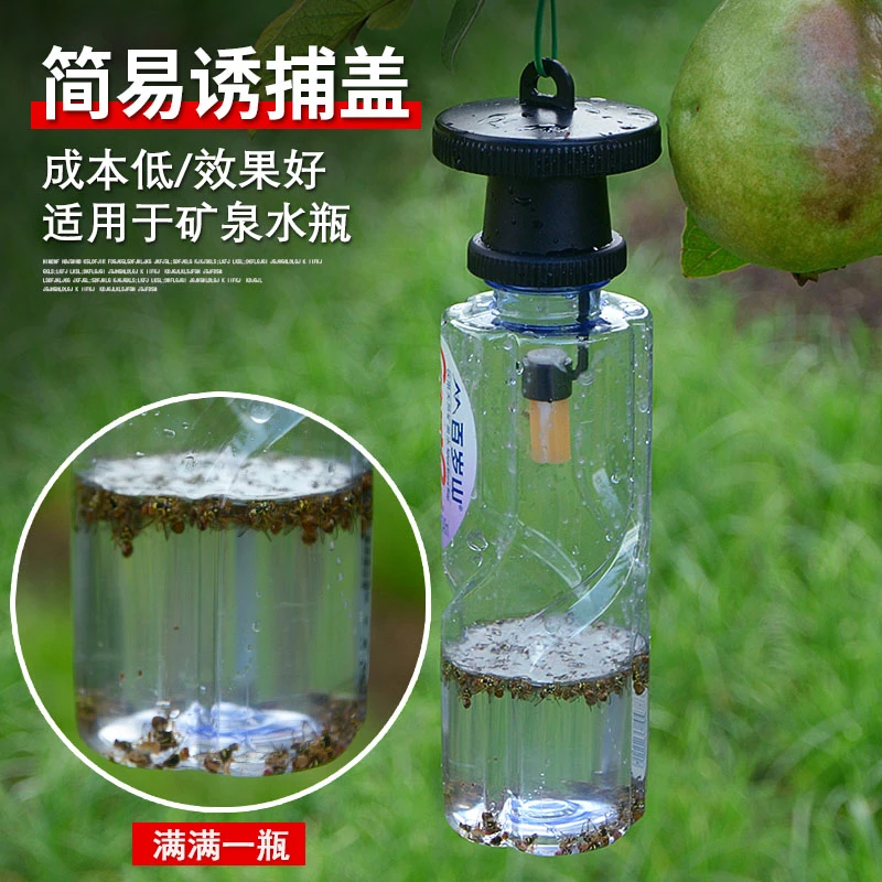 简易果蝇诱捕器盖头果园瓜地桔小实蝇针锋瓜蝇诱引捕捉诱剂果蝇药