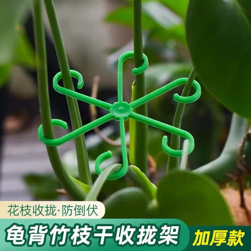 【2套8个】龟背竹支撑固定防倒伏春羽支架水培枝干固定花盆架收拢架