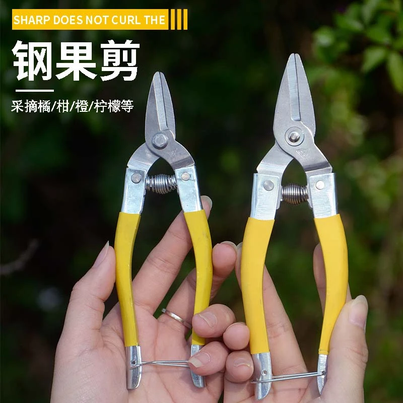 葡萄剪水果枝剪剪刀采果剪子弹簧修枝蔬果园艺疏摘果小剪树枝稀果