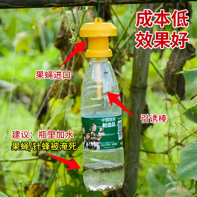 简易果蝇诱捕器盖头果园瓜地桔小实蝇针锋瓜蝇诱引捕捉诱剂果蝇药