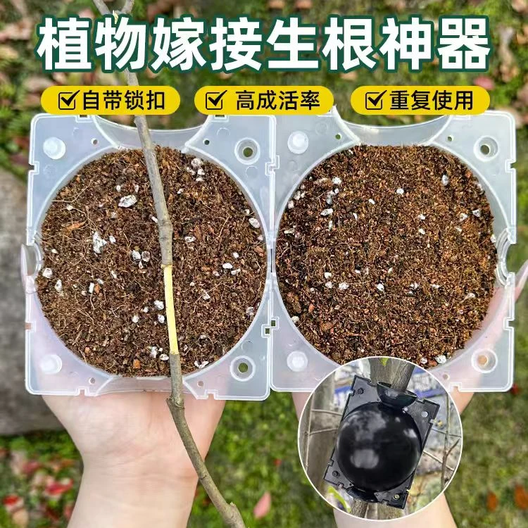【5个装】植物嫁接盒繁殖盒控根盒移植生根球花卉果树扦插育苗