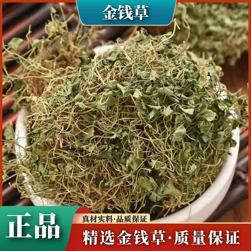 精选新鲜金钱草野生四川小叶金钱草天然泡水叶菜250g/1000g包邮