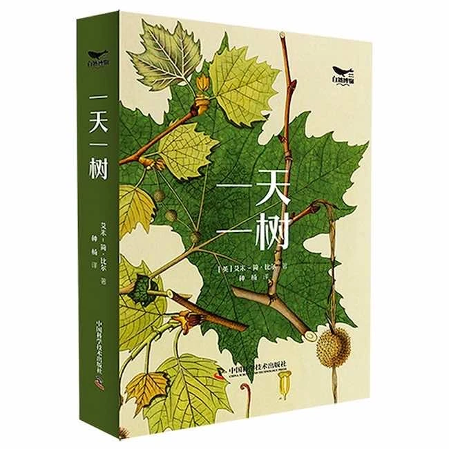 一天一树 了解每种树都是一种享受。