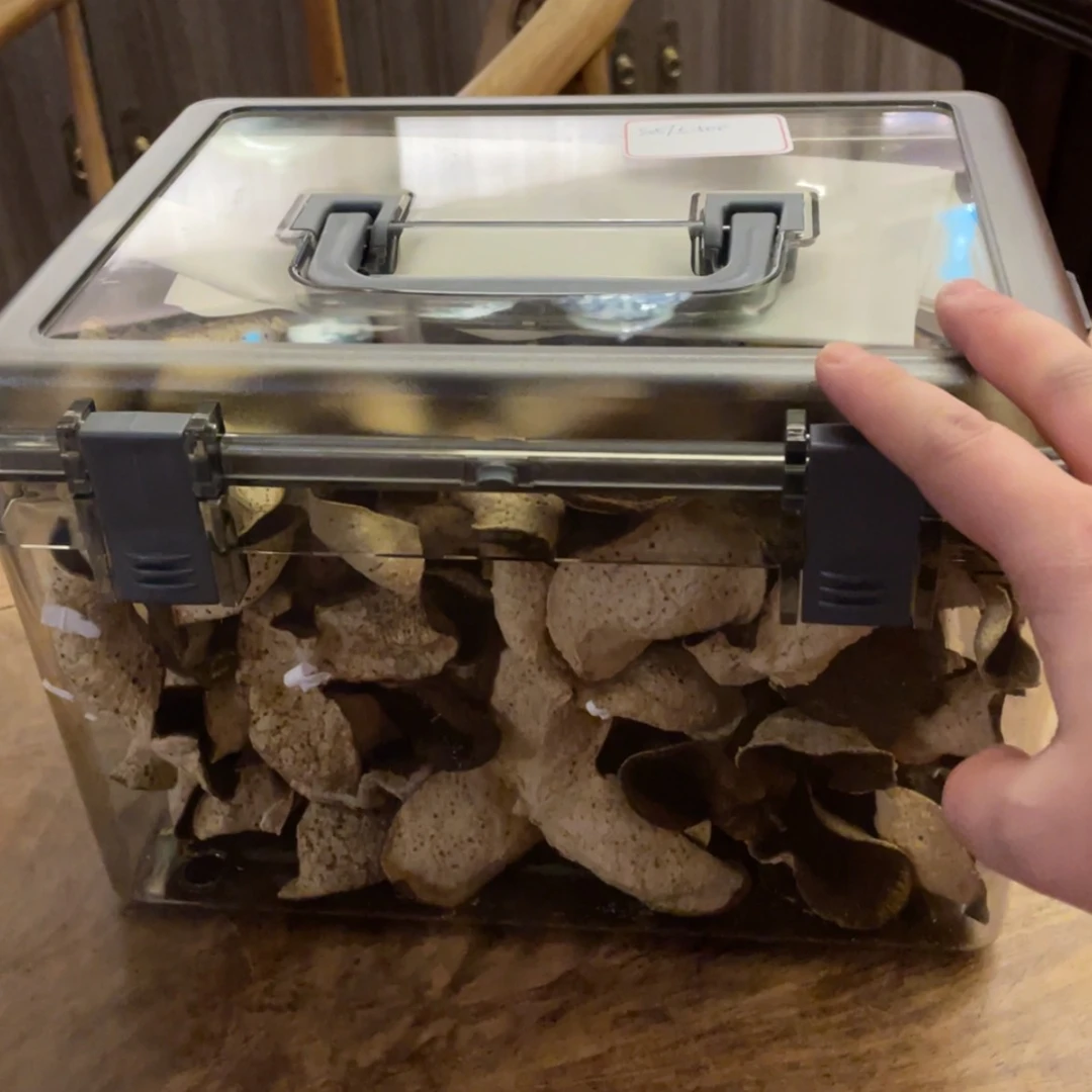 【闪购商品】密胺摆件