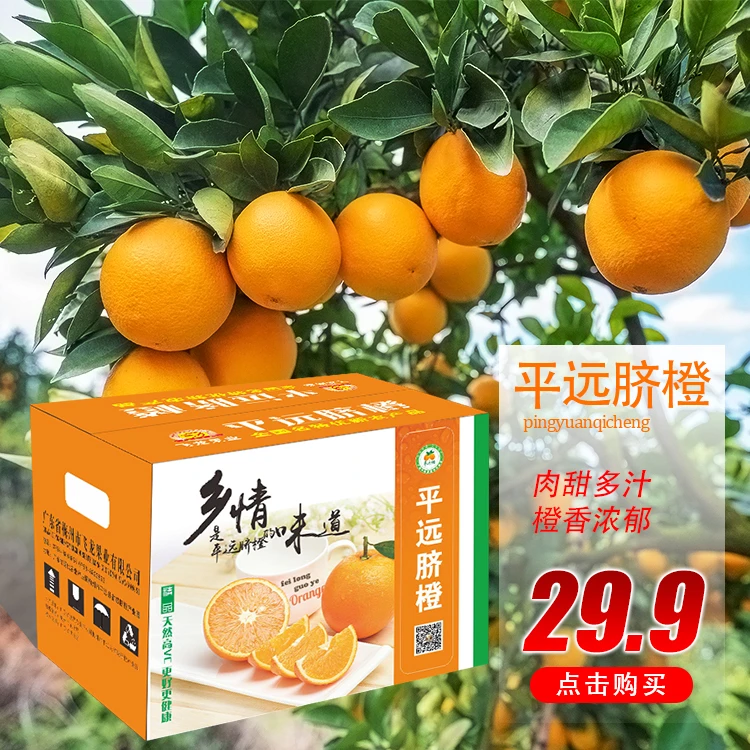 平远脐橙5斤装当季水果脐橙鲜甜多汁橙香浓郁酸甜原产地采摘