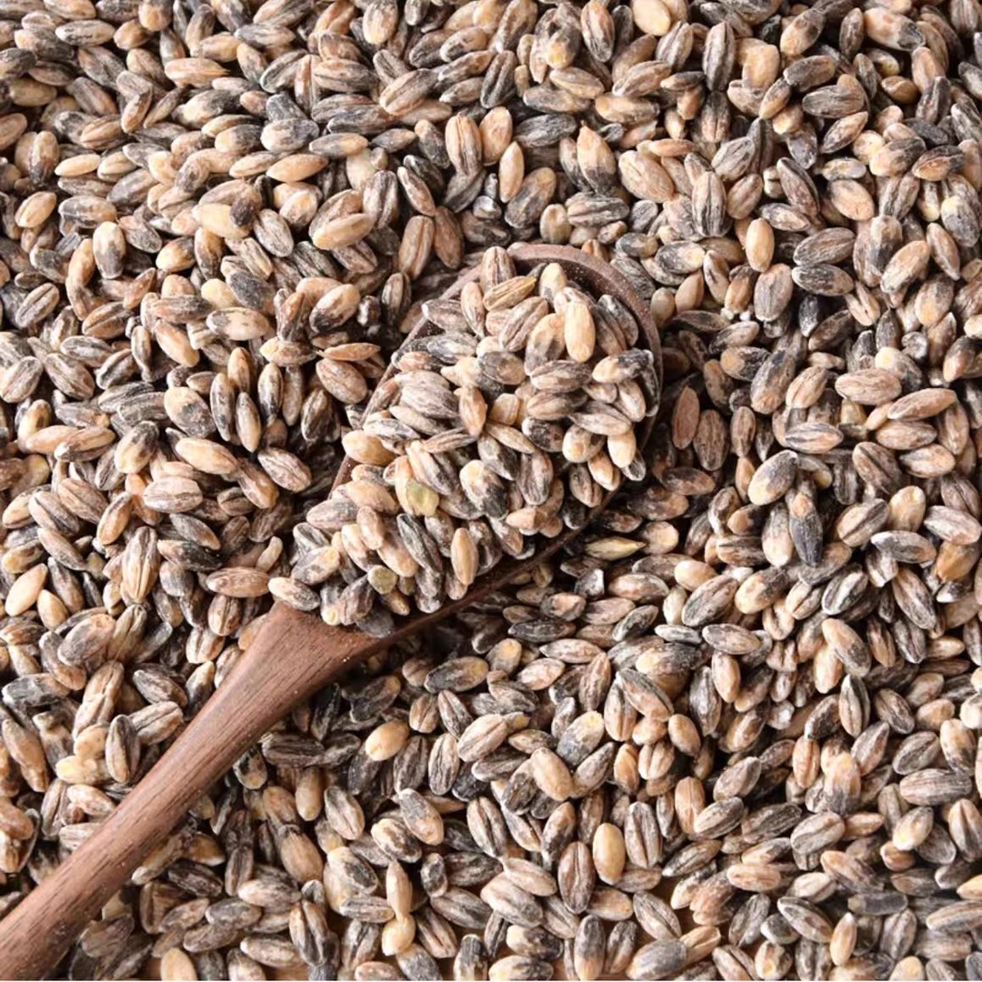 酵素生态种植黑青稞米