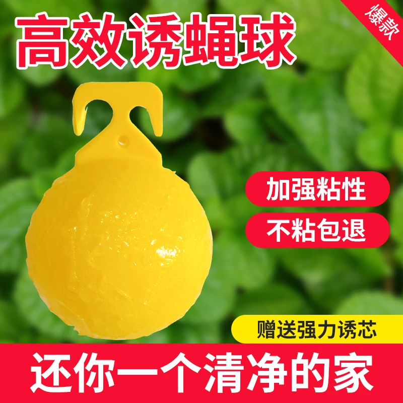 【杜姐专属】诱蝇球果树防虫船长花园实蝇诱捕器诱粘剂引诱剂厨房