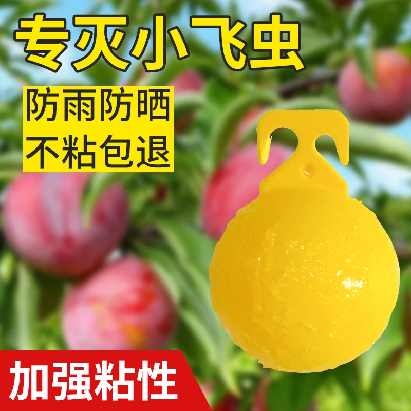 粘虫球果树防虫柑橘大小船长花园粘捕器诱粘剂引诱剂厨房小飞虫板