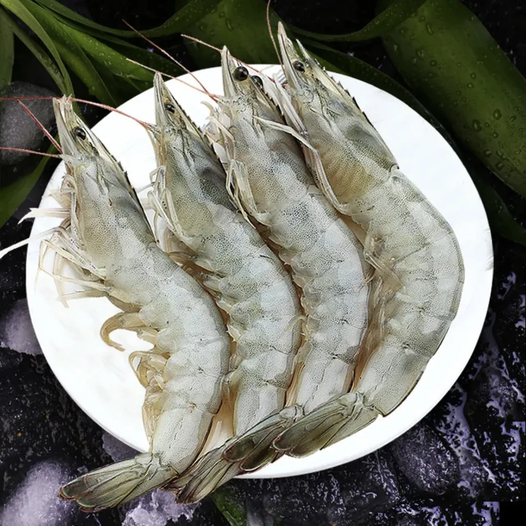 白虾连云港发货 盐冻海水大虾 3040规格 净重3.3斤/盒 新鲜