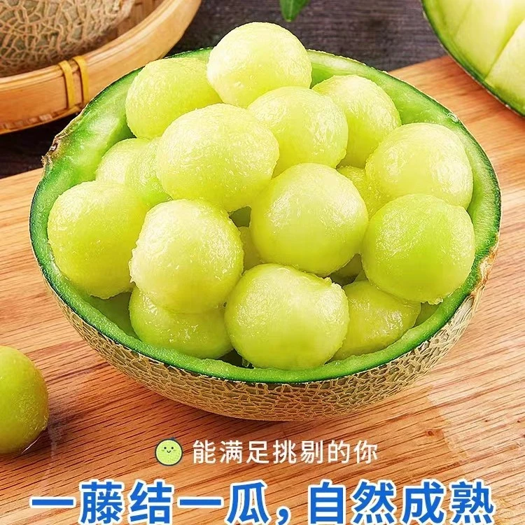 【新鲜采摘】冰淇淋网纹蜜瓜新鲜水果甜瓜哈密瓜玫珑蜜瓜果香 清甜