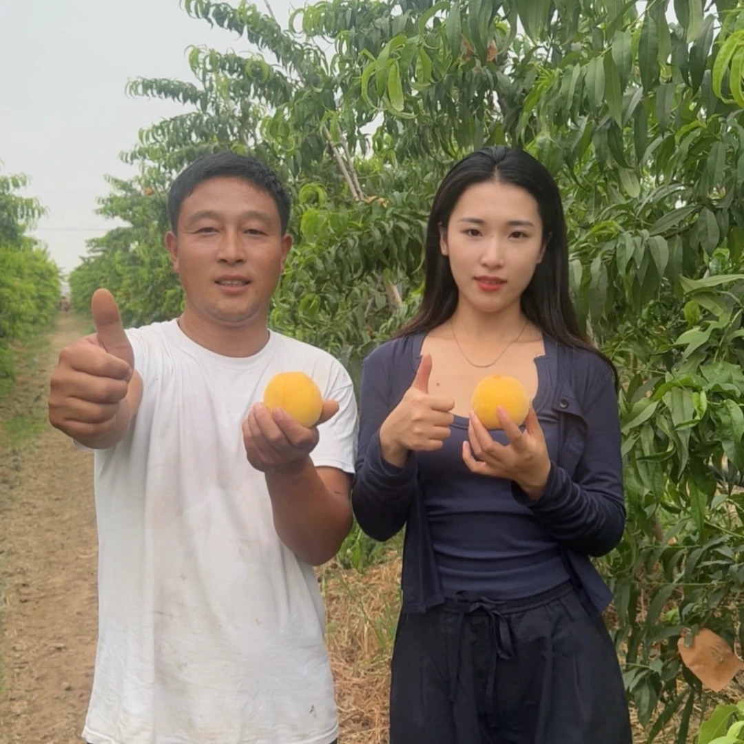 黄金水蜜桃新鲜采摘露天黄桃一箱5斤