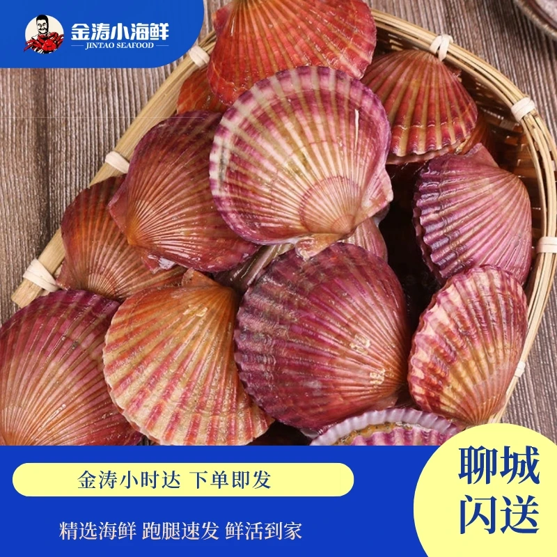 【小时达】鲜活扇贝 3斤29.9