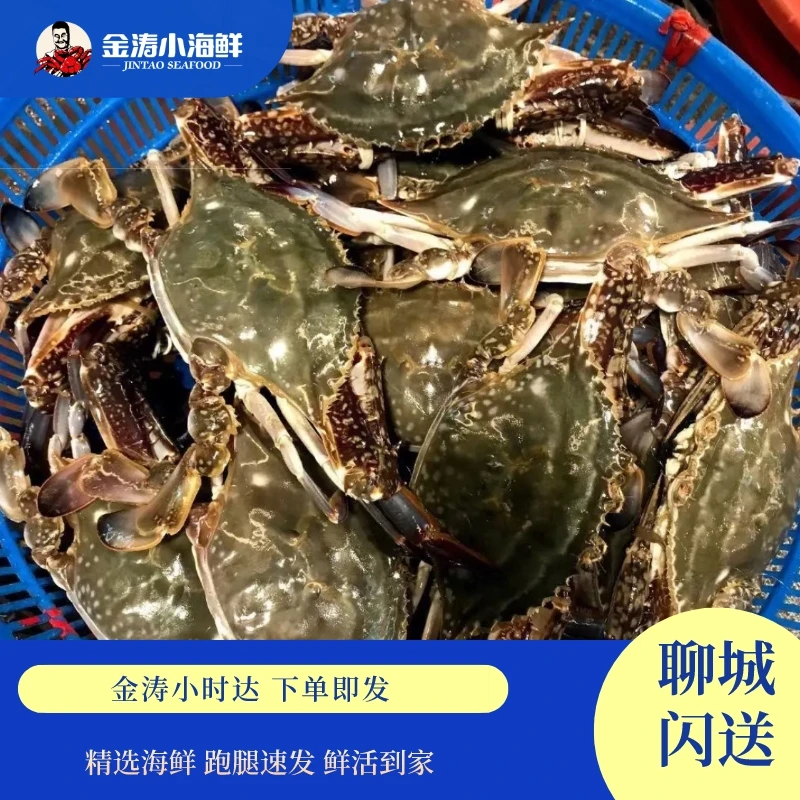 【小时达】梭子蟹 飞蟹  鲜活到家