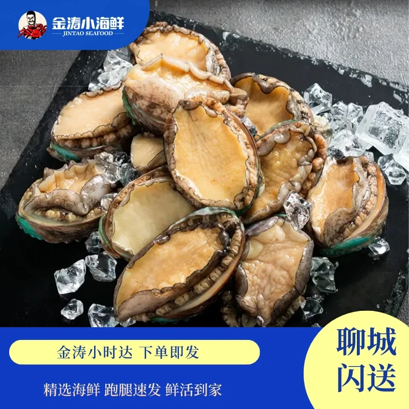 【小时达】鲜活20头鲍鱼 1斤