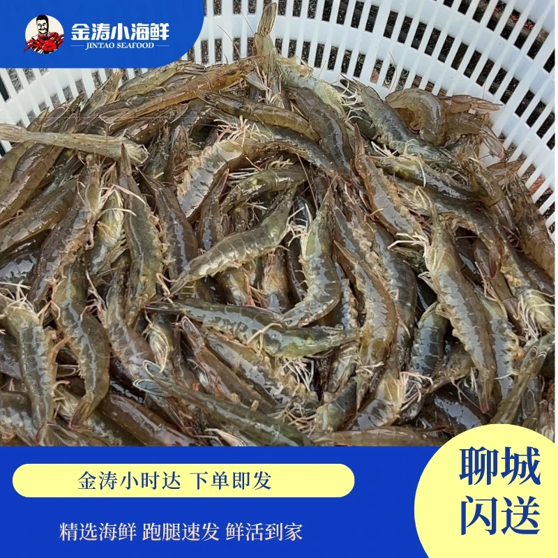 【小时达】鲜活海水明虾 2斤