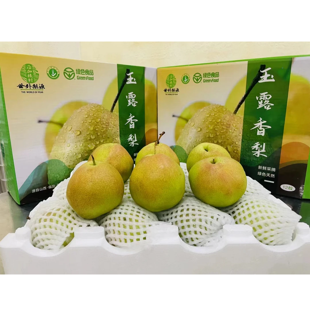 大鹏专属二级果玉露香梨