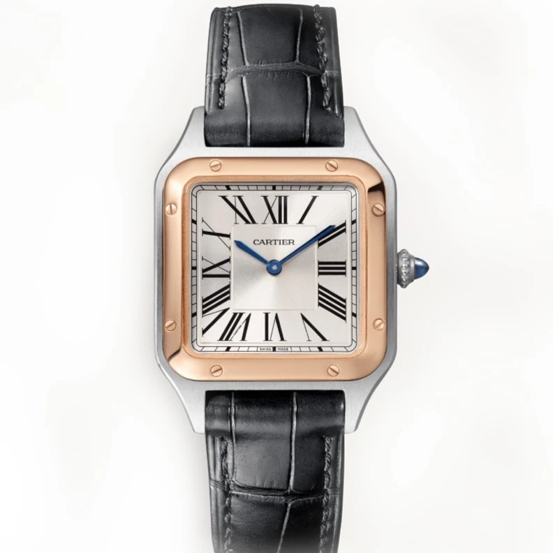 99新 Cartier/卡地亚 山度士W2SA0012间金小号石英女款22年全套