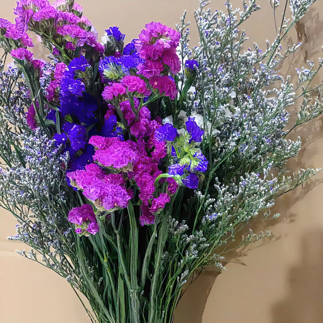 云南基地直发 勿忘我 半干鲜花加配草自然倒挂风干