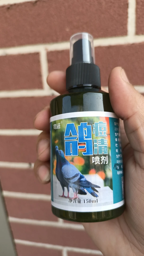 鸟痘鸽痘清理护理鸟嘴痘爪子生痘翅膀毛囊炎鸟日常护理