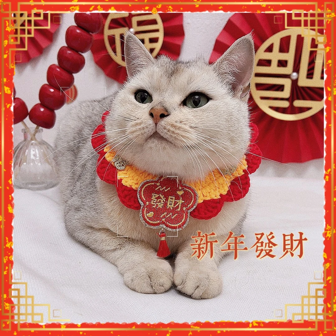 原创宠物猫咪过年针织项圈新春喜庆围巾发财暴富红色手钩毛线围脖
