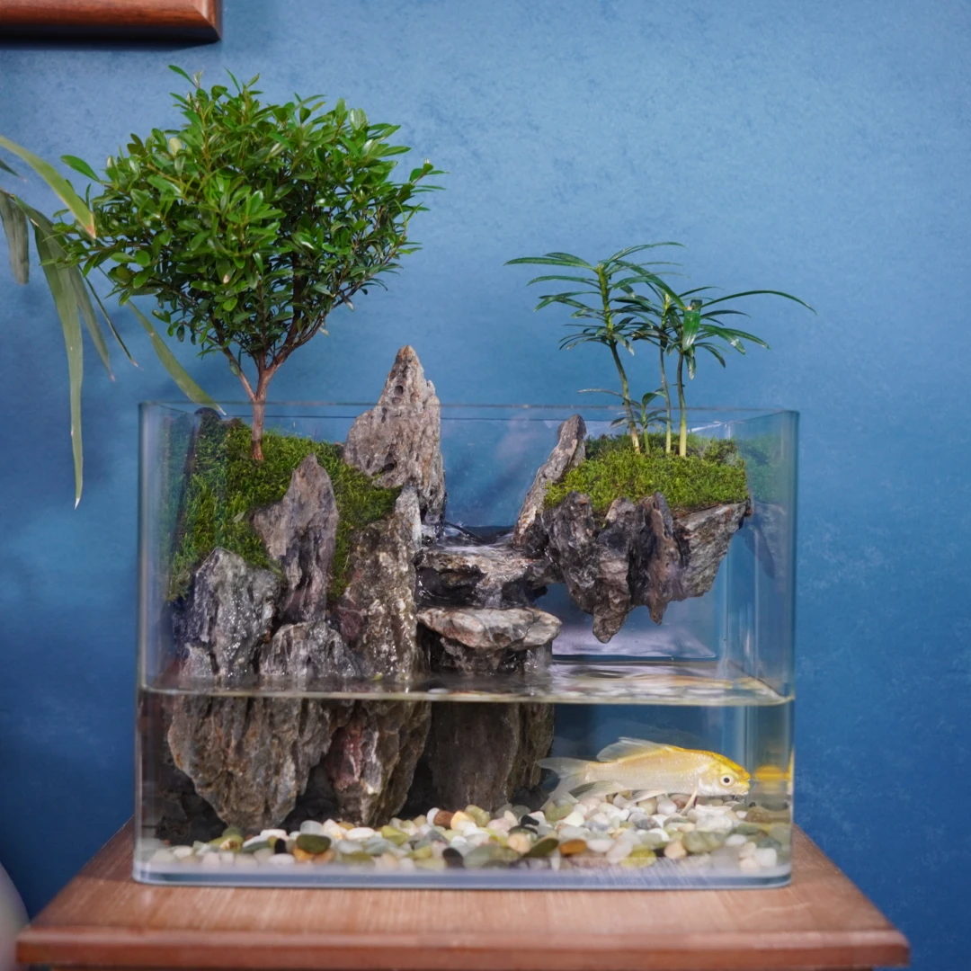 悬山-25方小叶赤楠流水景观真实绿植造景创意景观鱼缸可养鱼