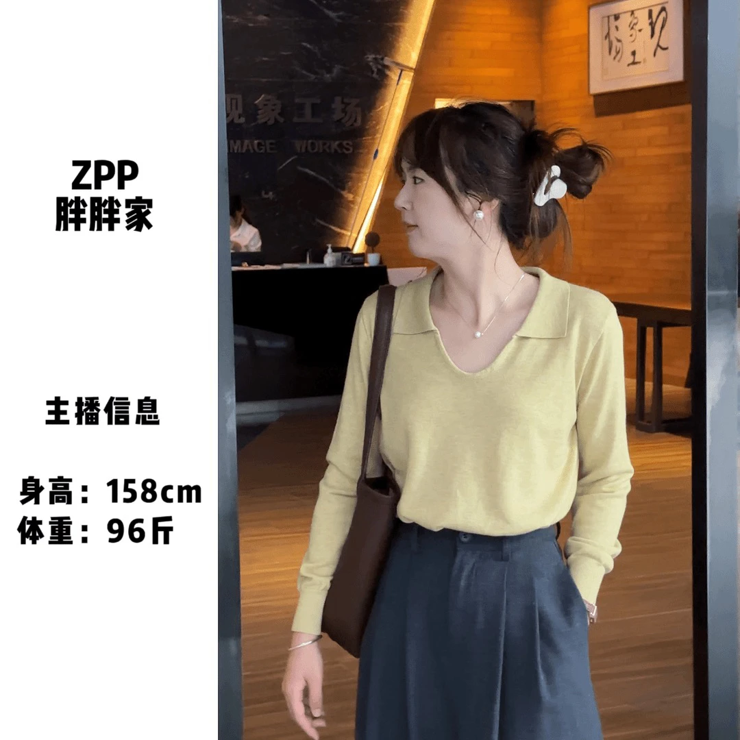 PP~胖胖家自制长袖针织秋季新款气质时尚修身显瘦显白上衣