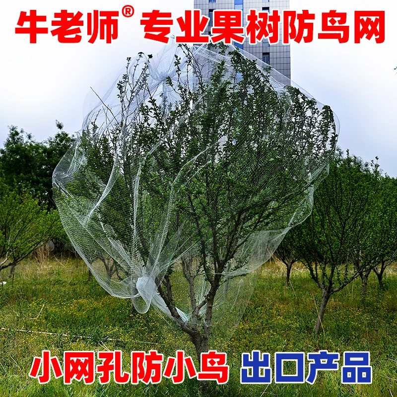 果树防鸟网防小鸟的网果园大棚樱桃嘉宝果阳台农业用罩鱼葡萄天网