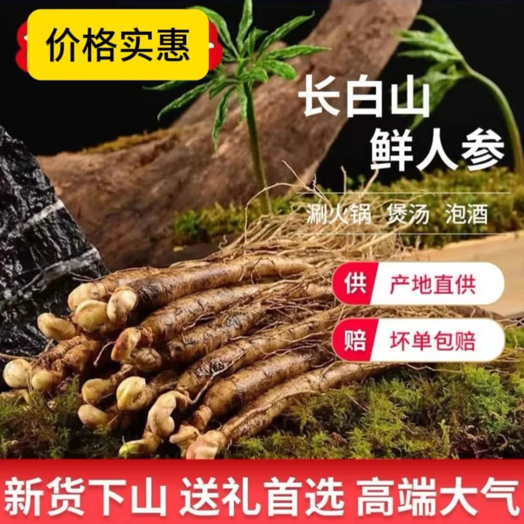 20支长白山鲜参万良直发