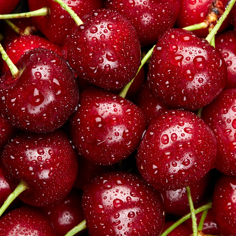 甄选智利进口车厘子J/JJ/3J/4J级甜美多汁坏果包赔