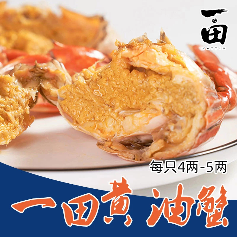 一田黄油蟹南水青蟹肉质肥美当天上水发货蒸煮低温鲜活