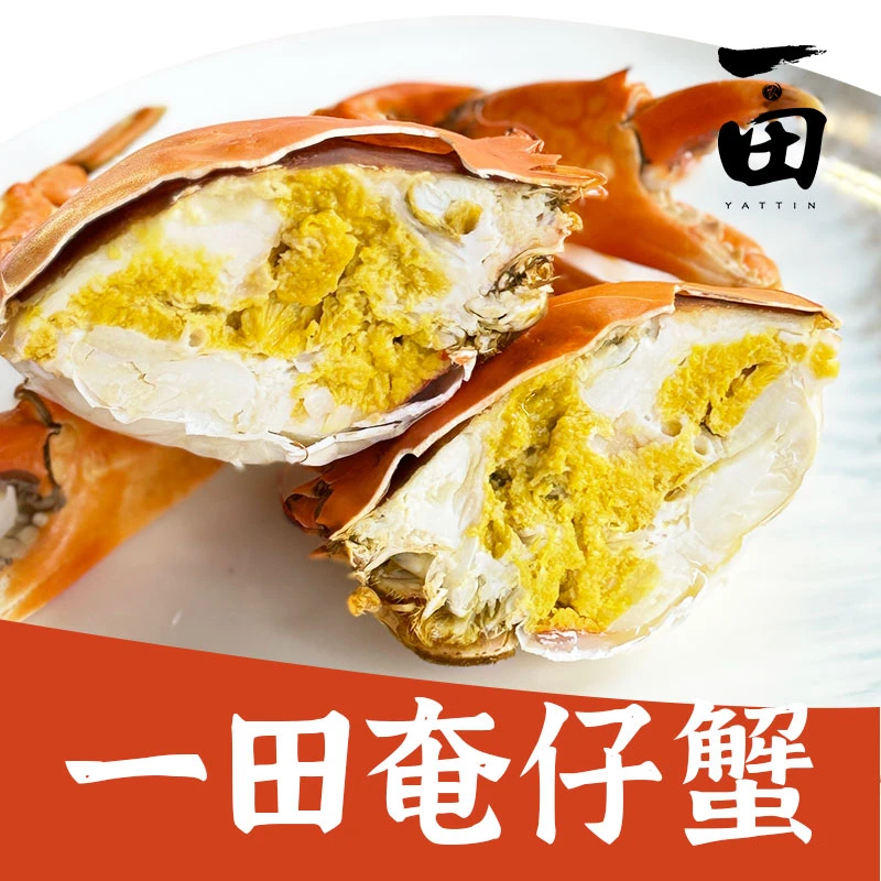 一田黄油奄仔蟹2.5-3.5两/只鲜活装肥美拍下冷链配送美味