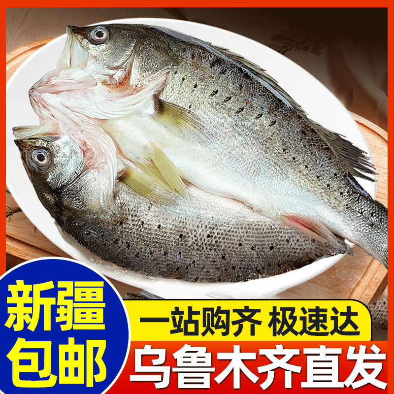 新疆包邮白蕉海鲈鱼开背新鲜活冷冻深海鱼清蒸鱼去内脏烤鱼半成品