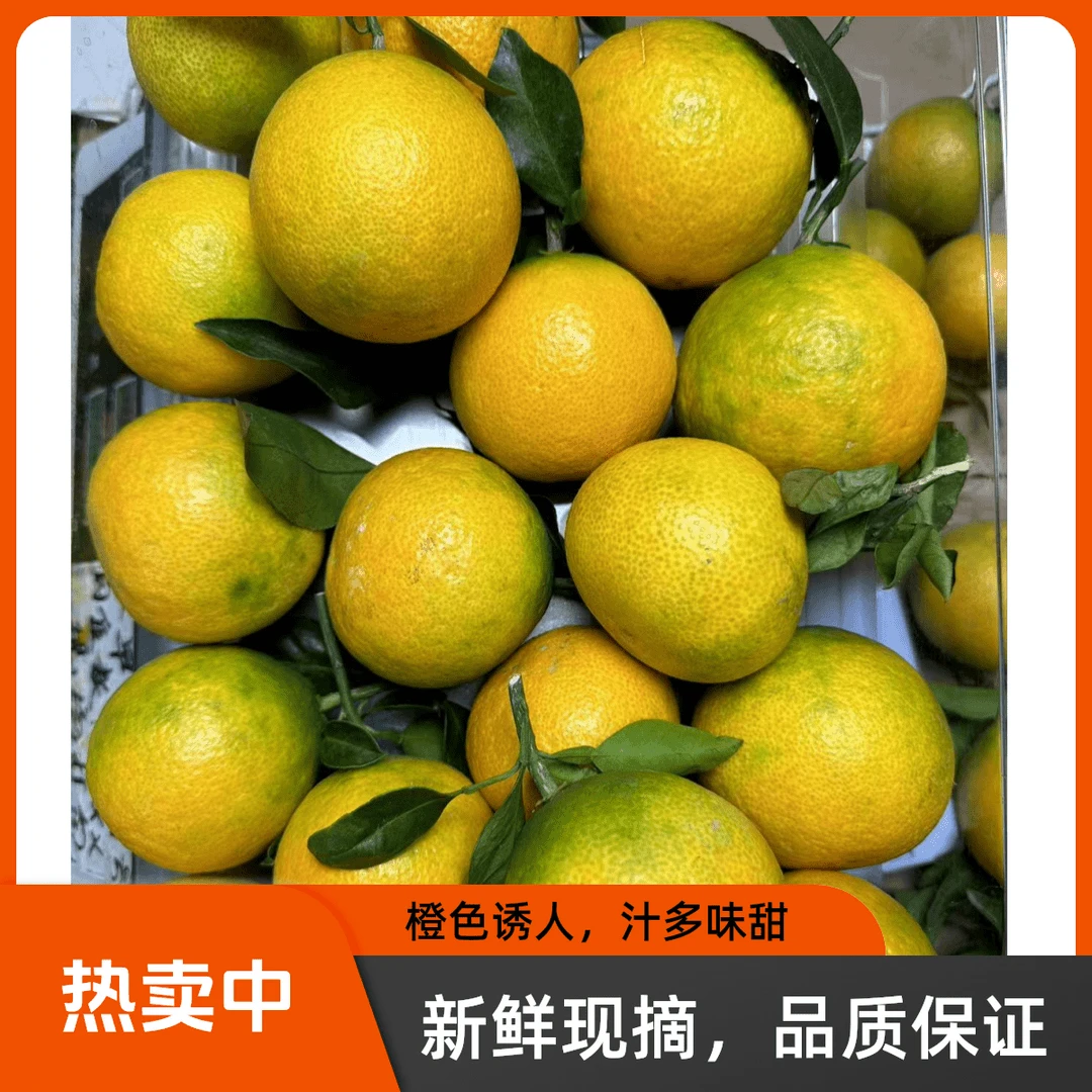 现摘现发云南爱媛38号果冻橙早熟橙子红美人当季水果皮薄多榨汁甜