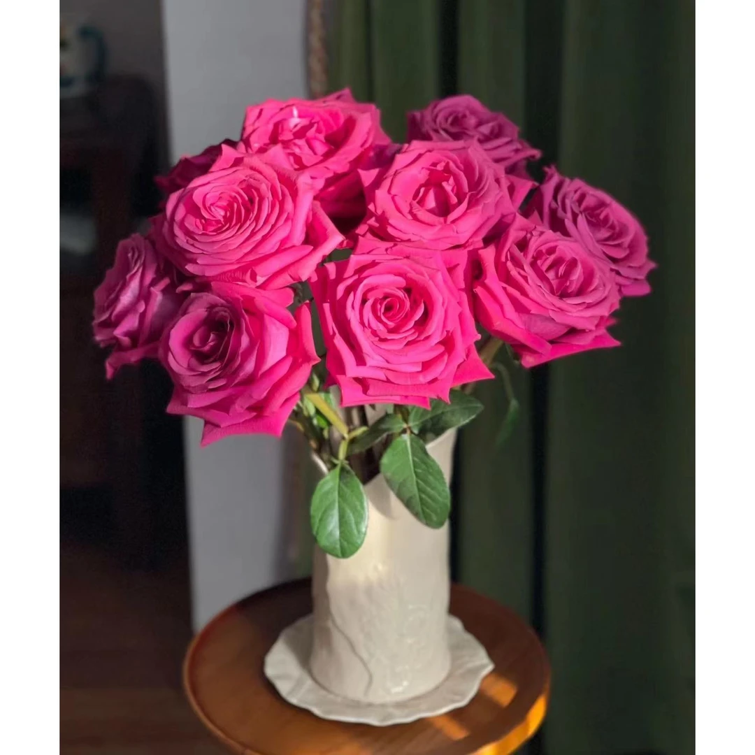 【云农中花】云农中花云南直发A级弗洛伊德玫瑰鲜花玫瑰百合月季