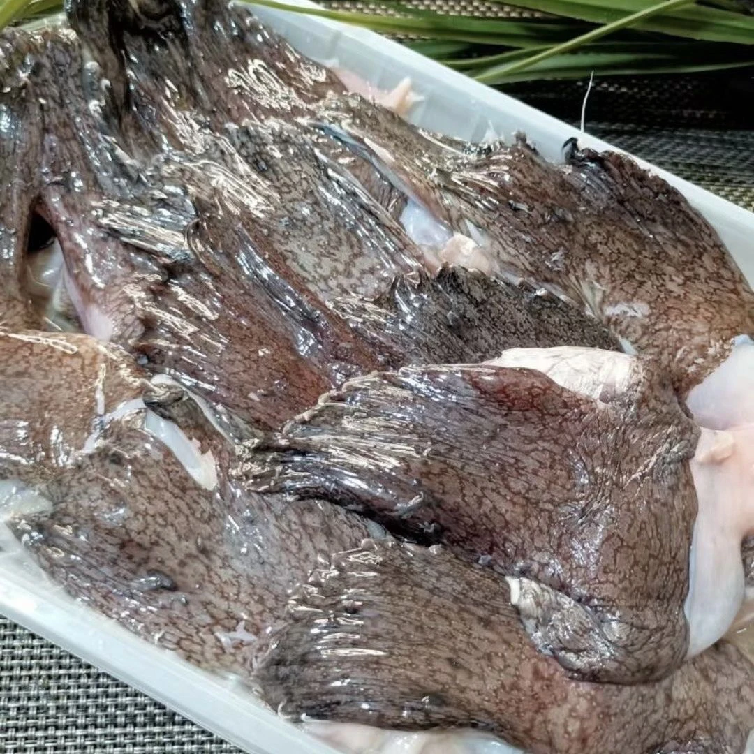 国产野生安康鱼翅