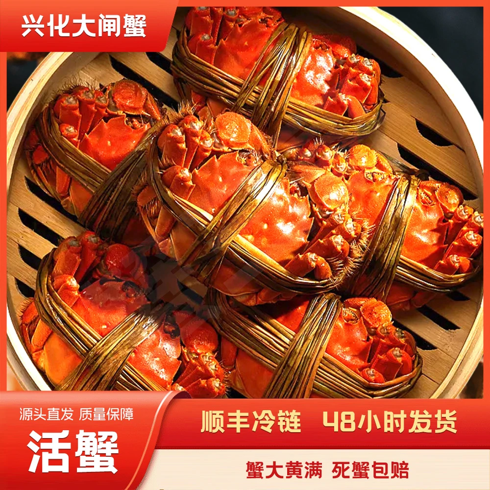 超大活蟹/母蟹3.5-3.2两 8只礼盒装/顺丰冷链发货