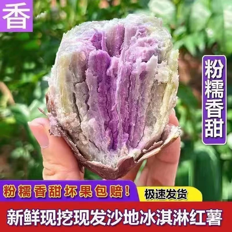 【正宗原产地】冰淇淋番薯 广东高州沙地粉糥香甜地瓜 精选5斤/10斤
