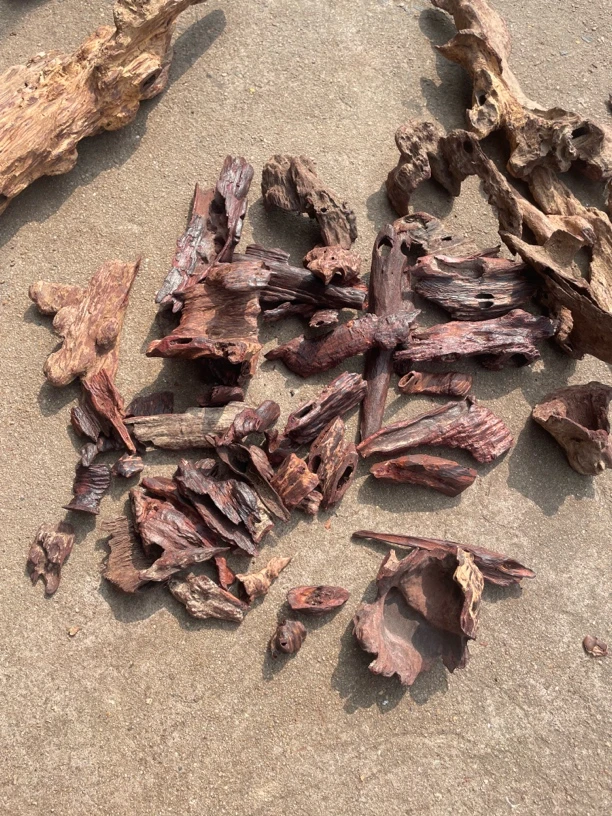 海南花梨公虫漏料