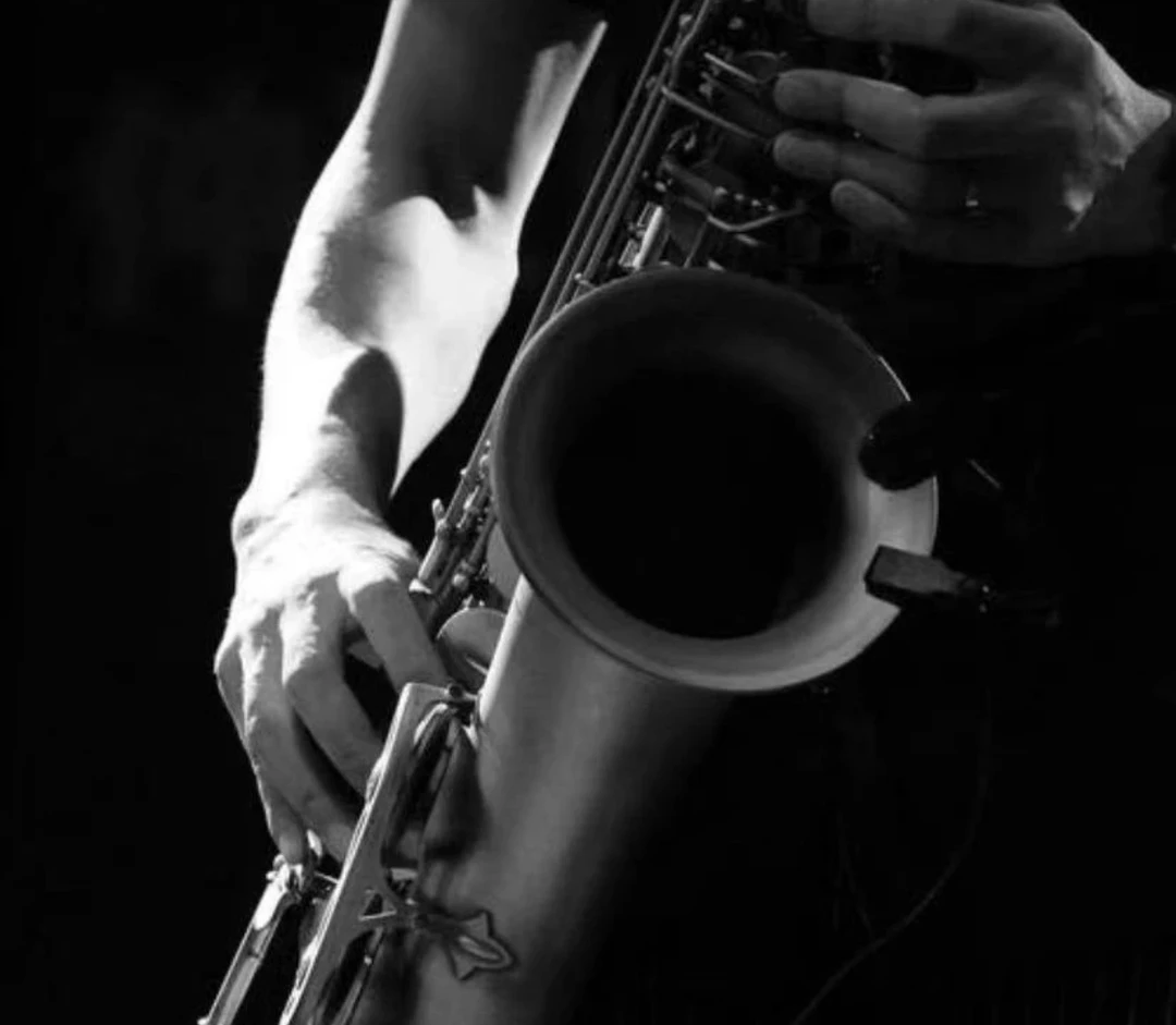 100首中音萨克斯降E调动态谱伴奏，含示范和原唱