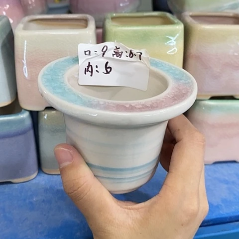红陶20CM以下一个瘦