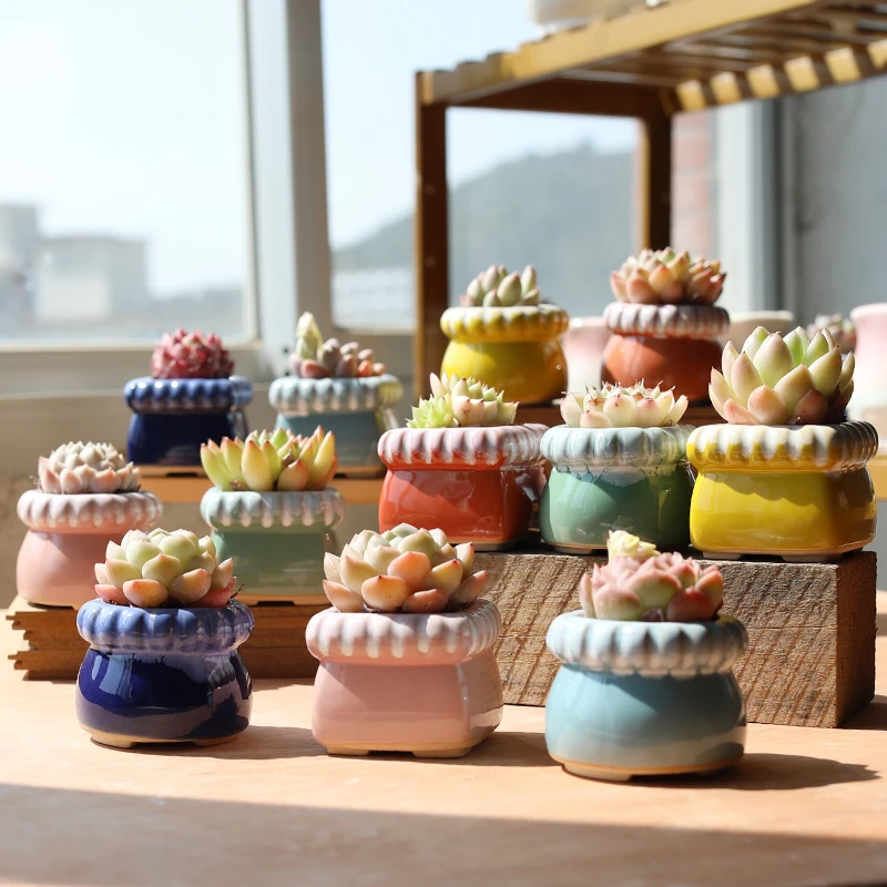 多肉花盆复古冰裂流釉创意个性粗陶透气大口径群生老庄大口径包邮