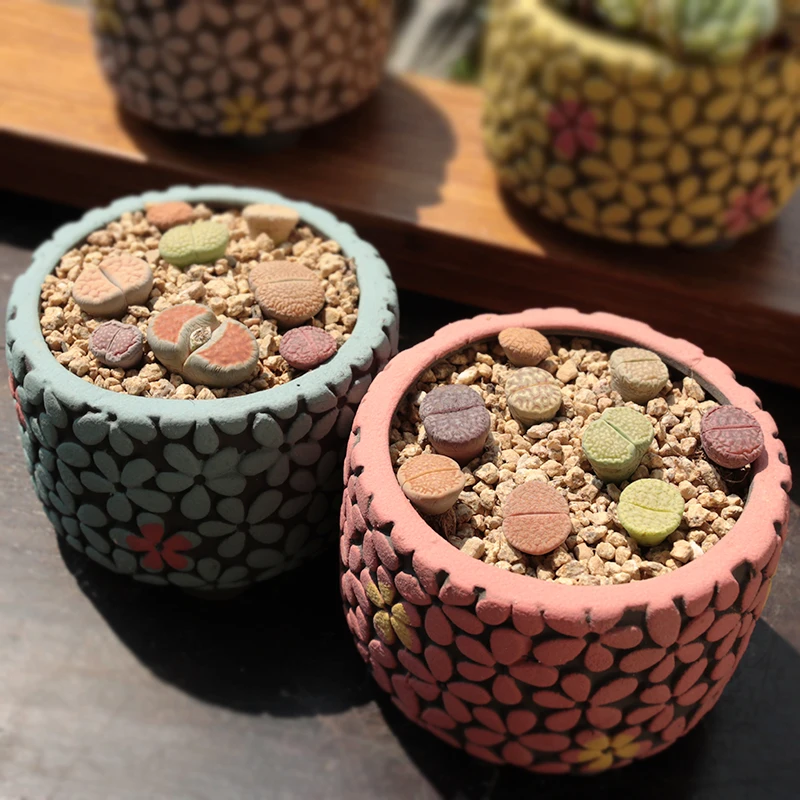 韩式简约多肉花盆陶瓷群生粗陶PP生石花拼盘群生手绘室内盆栽花器